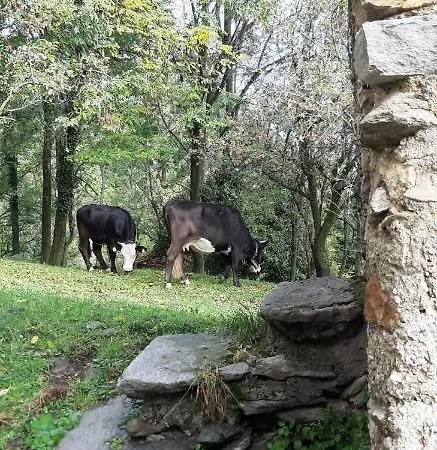 L'angolo Cochi * San Siro (Lombardy)