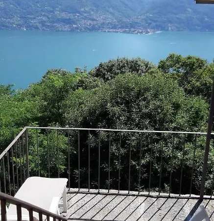 L'angolo Cochi